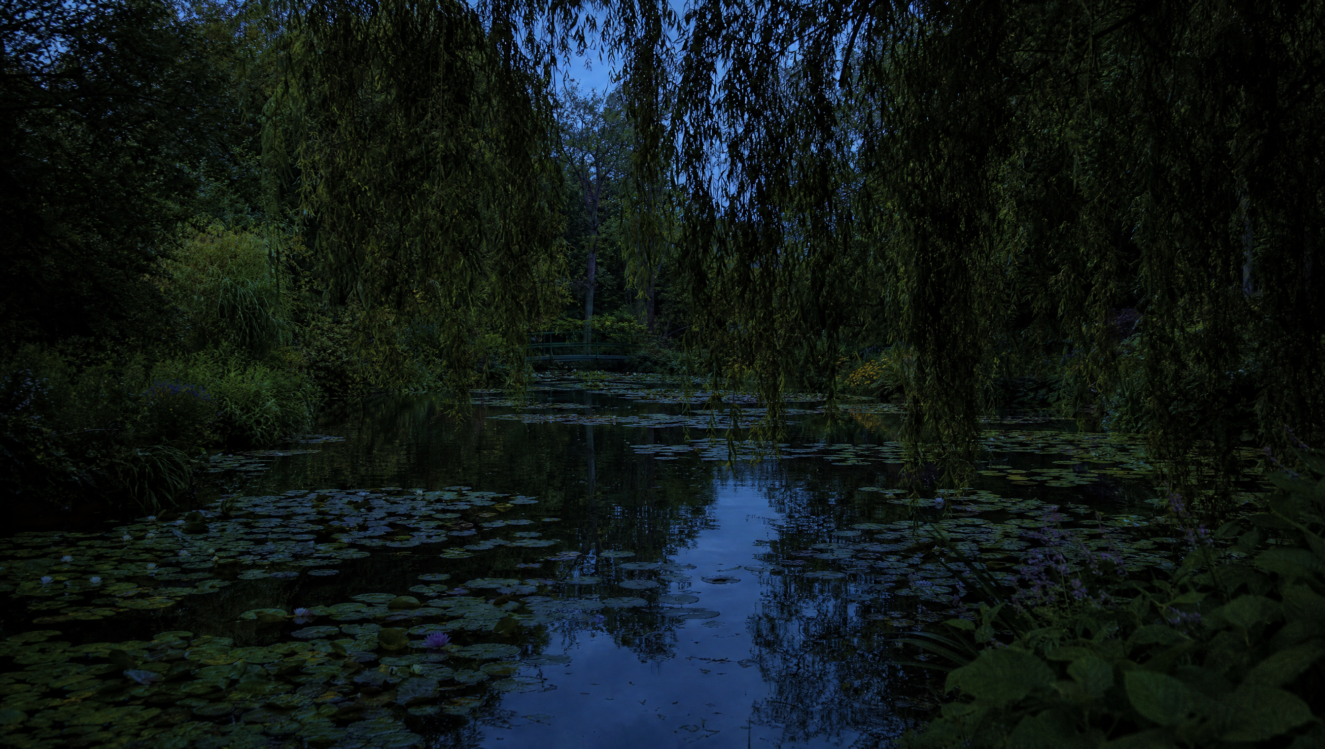 A still pond under willows at dusk, dense reflections and deep shadow