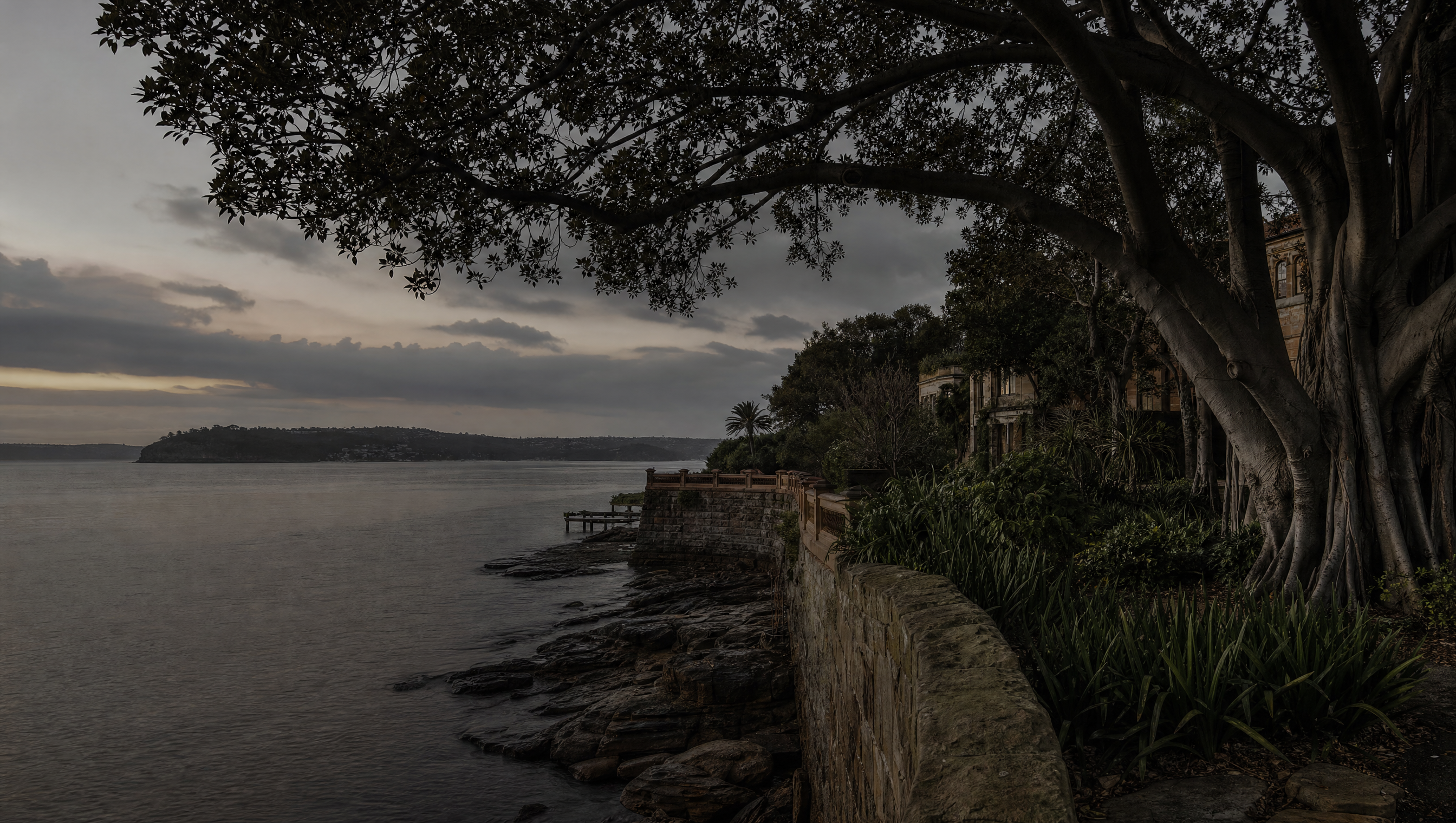 A harbour foreshore at dusk seen over a sandstone garden wall and old fig trees